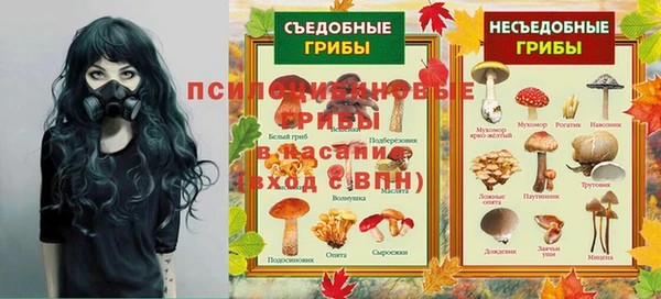 стафф Аркадак